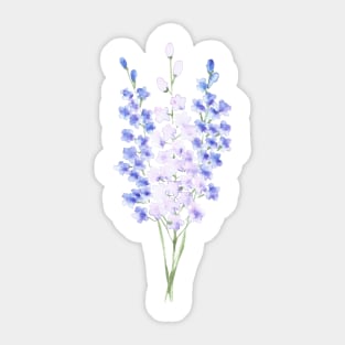 Delphiniums, floral watercolor painting Sticker